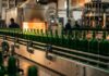 +143 % sur le marché local : Comment l’huile d’olive a redessiné les résultats de la SOTUVER au S1 2026 Verrerie Industrie