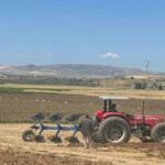 Siliana-Céréales : Les superficies programmées s’élèvent à 155 000 hectares