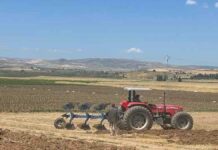 Siliana-Céréales : Les superficies programmées s’élèvent à 155 000 hectares