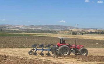 Siliana-Céréales : Les superficies programmées s’élèvent à 155 000 hectares