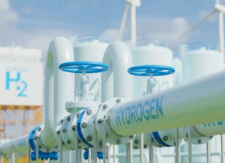 Gaz, hydrogène, industrie : Berlin veut convertir le rapprochement avec Alger en investissements