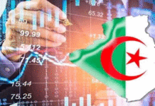Algérie : le guichet unique peut-il réellement raccourcir le parcours des investisseurs ?