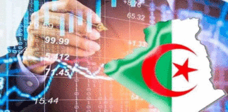 Algérie : le guichet unique peut-il réellement raccourcir le parcours des investisseurs ?