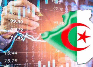 Algérie : le guichet unique peut-il réellement raccourcir le parcours des investisseurs ?