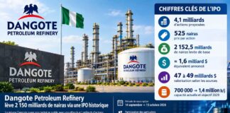 Bourse – Afrique : Dangote lance la plus grande introduction en Bourse de l’histoire africaine