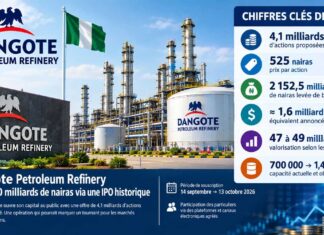 Bourse – Afrique : Dangote lance la plus grande introduction en Bourse de l’histoire africaine