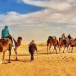 TOURISME — SAHARA | Tozeur : la saison saharienne se prépare, mais où sont les chiffres ?