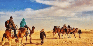 TOURISME — SAHARA | Tozeur : la saison saharienne se prépare, mais où sont les chiffres ?