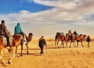 TOURISME — SAHARA | Tozeur : la saison saharienne se prépare, mais où sont les chiffres ?