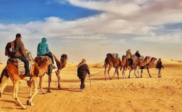 TOURISME — SAHARA | Tozeur : la saison saharienne se prépare, mais où sont les chiffres ?