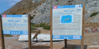 Environnement : L’Aire Marine et Côtière Protégée de la Galite se dote de ses premiers panneaux de signalisation