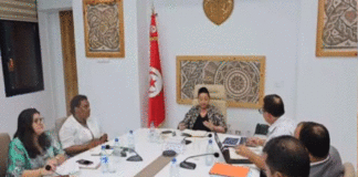 Maisons de la culture : la formation des cadres et le soutien à la création au cœur d’une réunion