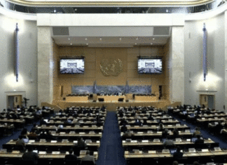 À Genève, la Tunisie appelle à renforcer la restitution des fonds détournés