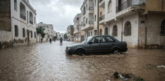 RISQUES CLIMATIQUES – Inondations : 37 MDT mobilisés et 2 600 km traités — la Tunisie est-elle mieux préparée ?