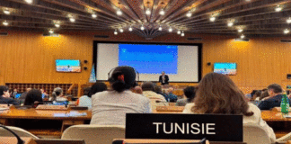 UNESCO-80 : la Tunisie participe aux consultations sur la réforme de l’Organisation