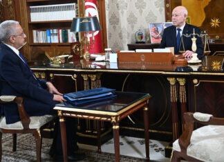 Tunisie : Kaïs Saïed met l’accent sur la télémédecine et les projets de santé