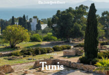 Tourisme en Tunisie : le New York Times consacre un itinéraire de 36 heures à Tunis
