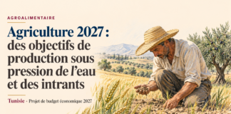 Agriculture 2027 : les objectifs de production face aux contraintes de financement, d’eau et d’intrants