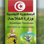 La Tunisie prépare son premier recensement agricole numérique, prévu pour la saison 2026-2027
