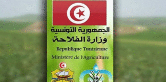 La Tunisie prépare son premier recensement agricole numérique, prévu pour la saison 2026-2027