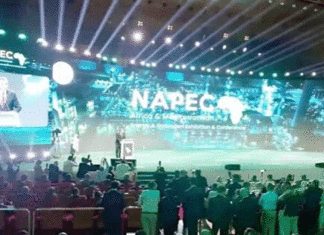 Énergie – NAPEC à Oran : 450 exposants, mais l’enjeu se jouera sur les projets