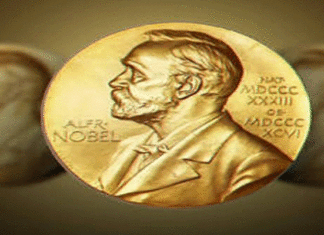 Prix Nobel 2026 : de l’exploration de l’univers à la justice internationale, cinq distinctions qui éclairent les grands enjeux contemporains