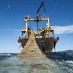 Accord de pêche : Nouakchott et Bruxelles entrent dans la dernière ligne droite