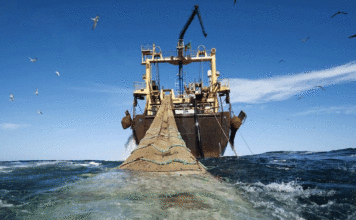 Accord de pêche : Nouakchott et Bruxelles entrent dans la dernière ligne droite