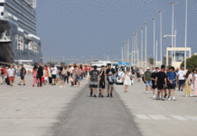 OMMP: Environ 243 mille touristes accueillis à fin septembre 2026 au port de la Goulette