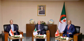 Tunisie-Algérie-Égypte : une concertation pour résoudre la crise libyenne