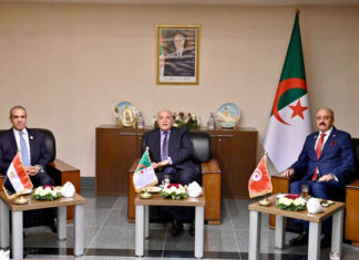 Tunisie-Algérie-Égypte : une concertation pour résoudre la crise libyenne