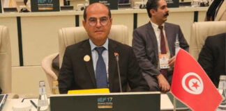 Sécurité énergétique : les pays arabes misent sur l’interconnexion électrique