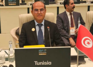 Sécurité énergétique : les pays arabes misent sur l’interconnexion électrique