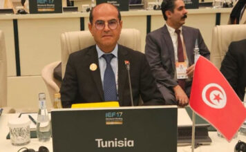 Sécurité énergétique : les pays arabes misent sur l’interconnexion électrique