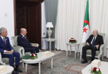 Libye : Tunis, Alger et Le Caire plaident pour un règlement politique