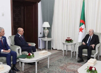 Libye : Tunis, Alger et Le Caire plaident pour un règlement politique