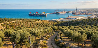 Tunisie-Espagne : de l’héritage andalou à un partenariat stratégique en Méditerranée