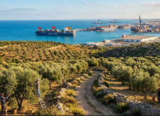 Tunisie-Espagne : de l’héritage andalou à un partenariat stratégique en Méditerranée