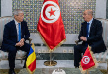 Tunisie-Roumanie : Nafti reçoit le candidat à la tête de l’OIF