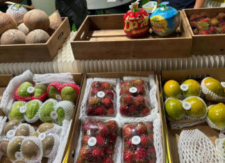 Salon de Madrid : la Tunisie mise sur les fruits, légumes et dattes à l’export