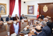 Campagne oléicole 2026-2027 : Sarra Zaâfrani Zenzri appelle à mobiliser tous les moyens nécessaires