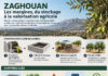 ÉCONOMIE CIRCULAIRE – Zaghouan : quatre bassins pour faire des margines une ressource agricole