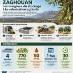 ÉCONOMIE CIRCULAIRE – Zaghouan : quatre bassins pour faire des margines une ressource agricole