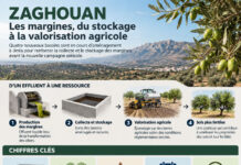 ÉCONOMIE CIRCULAIRE – Zaghouan : quatre bassins pour faire des margines une ressource agricole