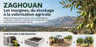 ÉCONOMIE CIRCULAIRE – Zaghouan : quatre bassins pour faire des margines une ressource agricole