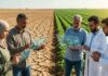 Désertification en Tunisie et en Algérie : Lancement du projet européen NEMESIS Agriculture
