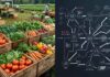 Pourquoi le système de distribution agricole tunisien enrichit l’informel et pénalise votre couffin Distribution Agricole