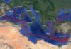 Méditerranée : l’ADN d’une mer qui relie plus qu’elle ne sépare Méditerranée Migrations ADN
