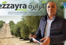 De la ferme connectée aux marchés africains : la trajectoire d’Ezzayra